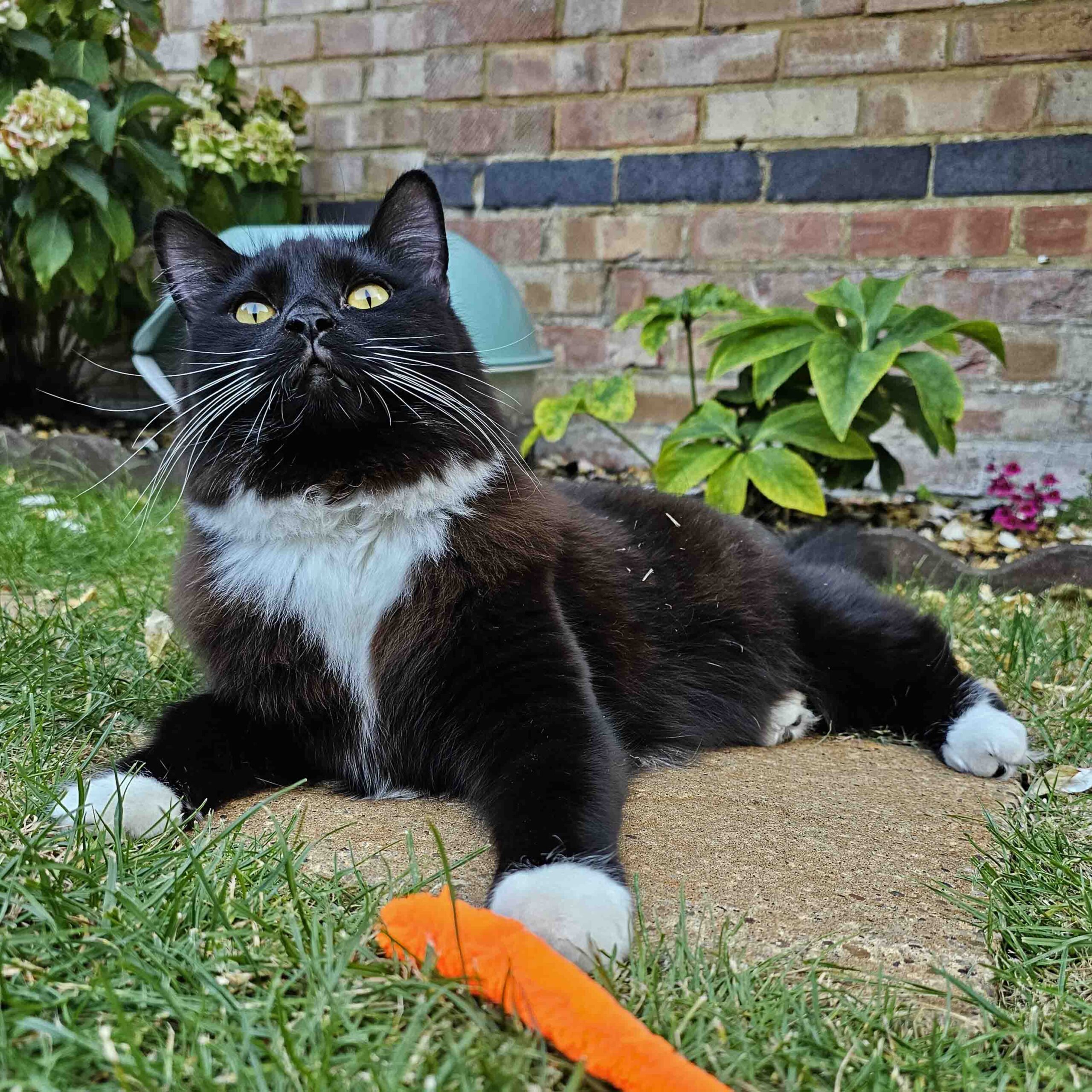 Jess relaxing outdoors