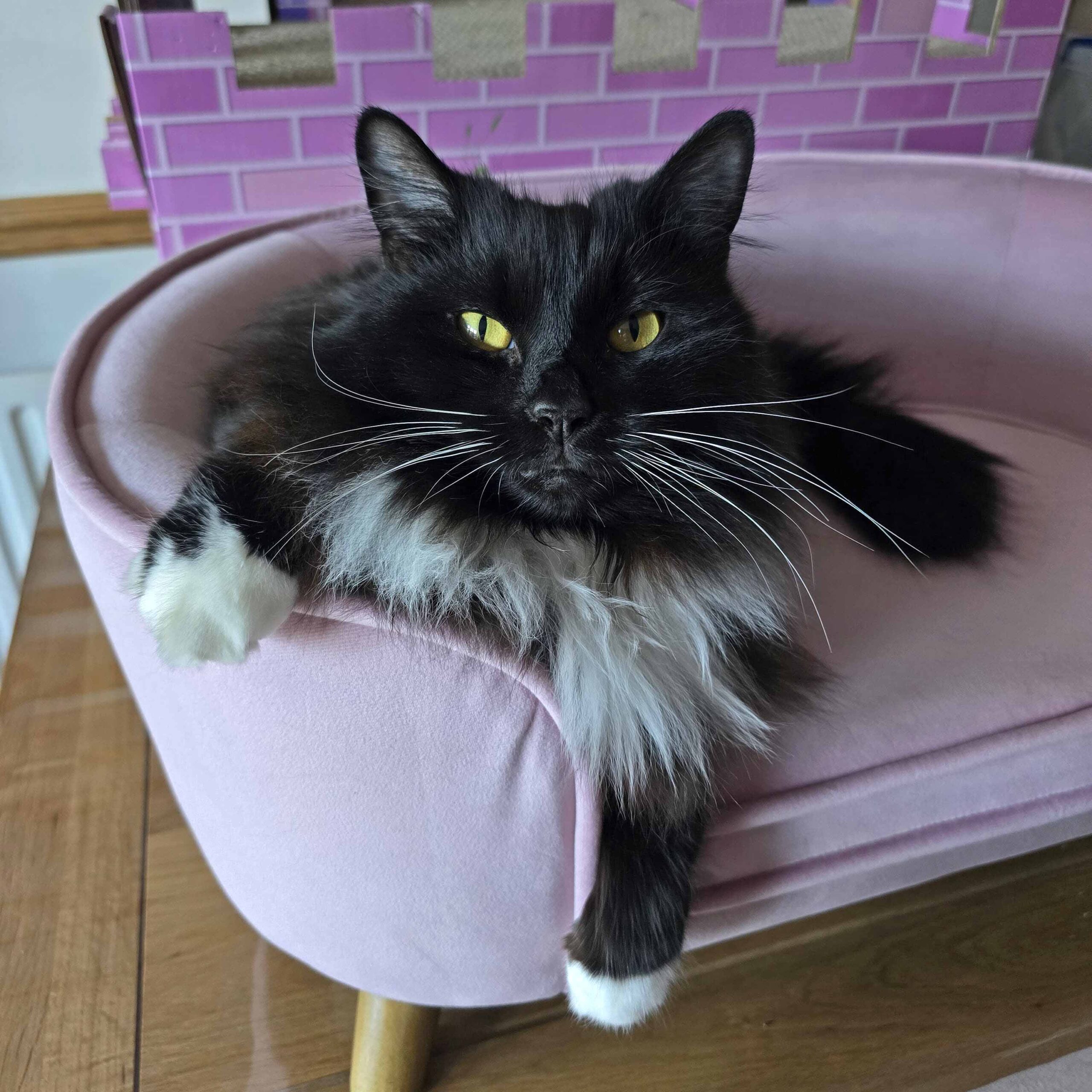 Jess sitting on her chair